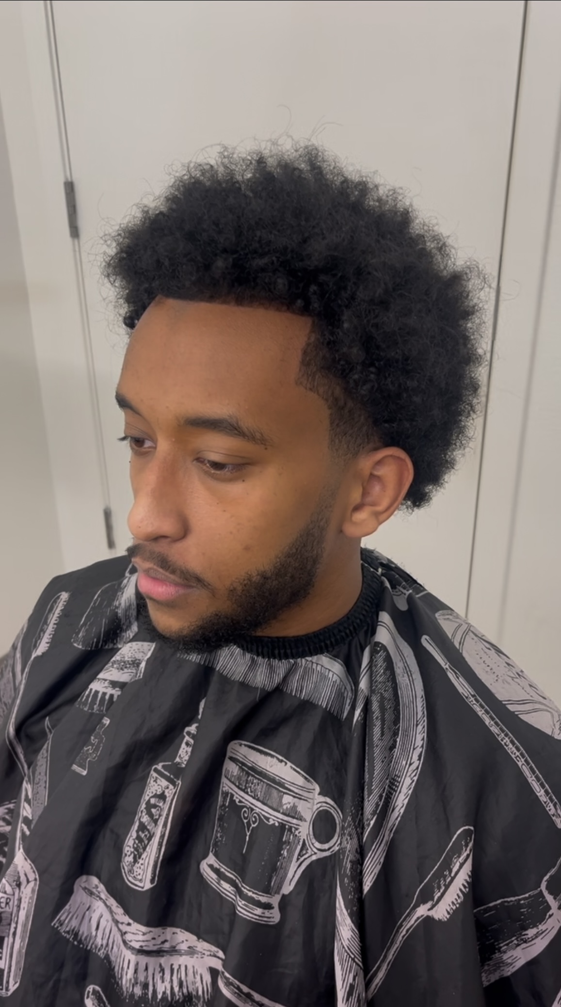 Curly Fro Style haircut example